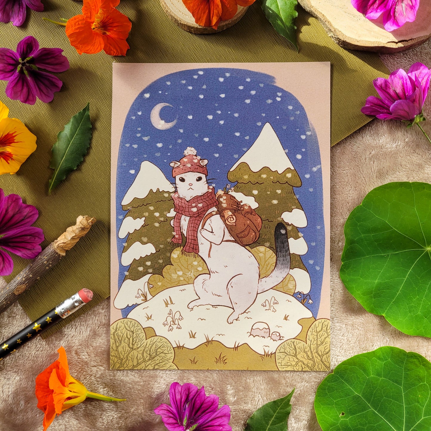Illustration "Hermine baroudeuse"